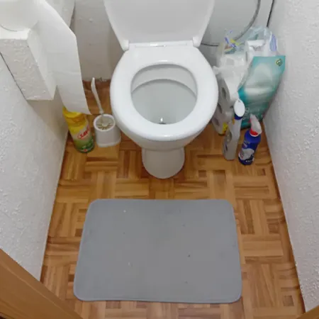 Druzstevni *